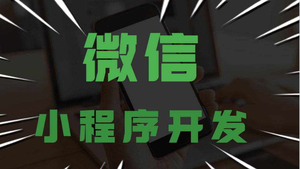 小程序開(kāi)發(fā)服務(wù)